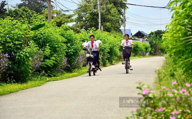 “Smart Village” model, a green symbol of Binh Duong province - ảnh 1