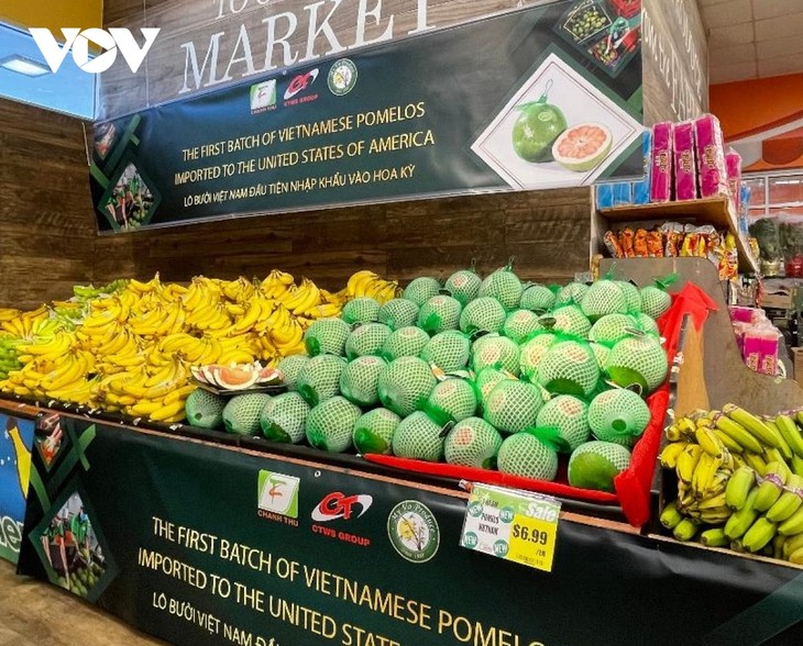 Vietnam targets 4 billion USD from vegetable, fruit exports in 2023 - ảnh 1