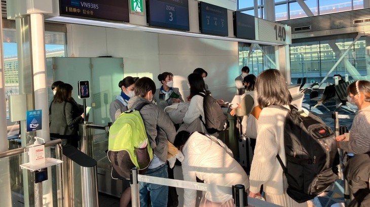 Vietnamese transported home on free flight from Japan for Tet holiday - ảnh 1