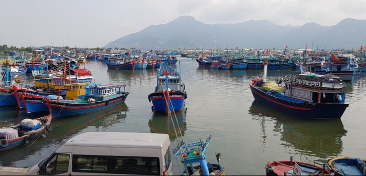 Fishing makes Ca Na village prosper - ảnh 2