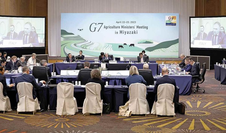 G7 Agriculture Ministers call for extension of Black Sea Grain Initiative to avoid global food crisis - ảnh 1