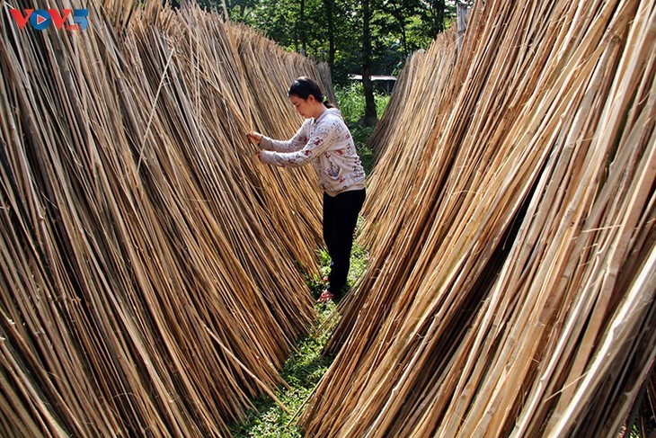 Ancient weaving village in HCMC  - ảnh 3