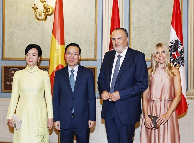 President meets governor of Burgenland state of Austria - ảnh 1