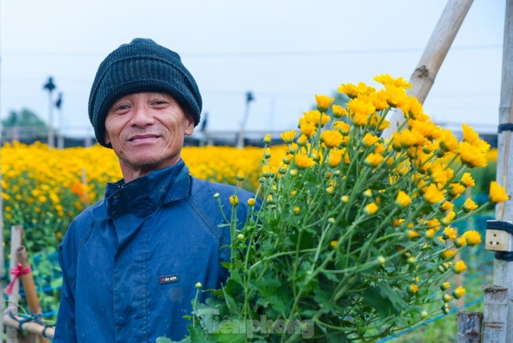 Preparations underway at Tay Tuu flower village ahead of Tet - ảnh 9