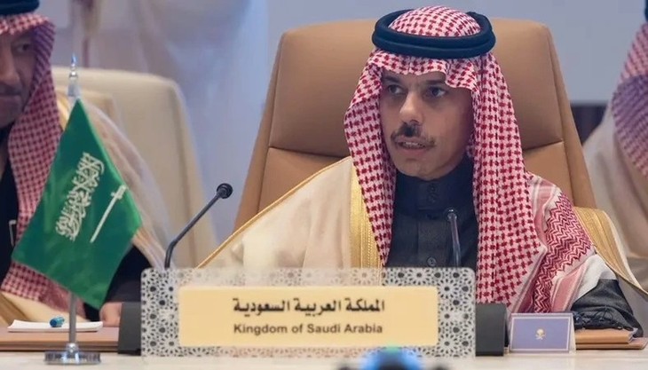 Riyadh ministerial meeting calls for lifting sanctions on Syria - ảnh 1