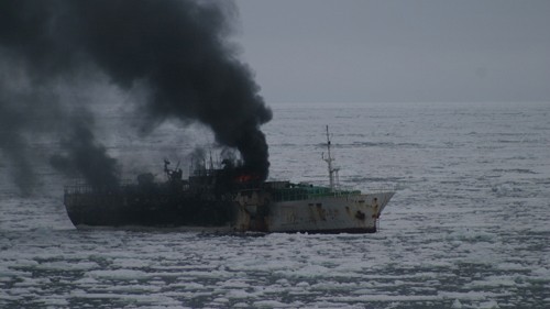 Les 4 marins blessés du Jeong Woo 2 seront transportés en Nouvelle-Zélande - ảnh 1