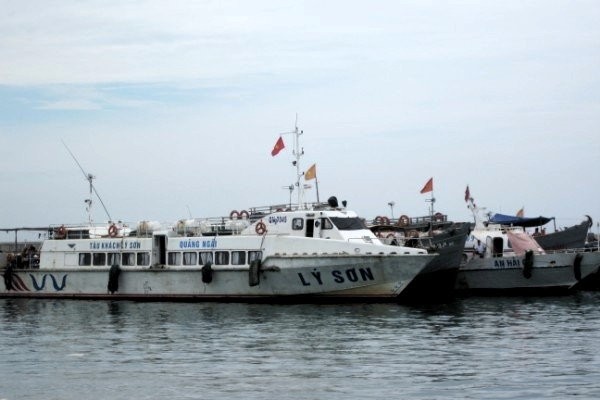 Visiter l’île de Lý Sơn-le royaume de l’ail - ảnh 1