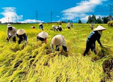 L'instauration d'une nouvelle ruralité-une tâche urgente - ảnh 2