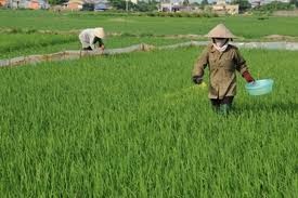 La nouvelle ruralité à Quynh Minh, dans la province de Thai Binh - ảnh 1