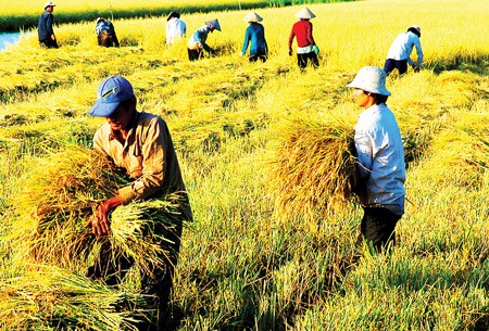 Réajustement des critères pour mieux instaurer la nouvelle ruralité - ảnh 1