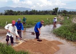 Nouvelle ruralité : quand les jeunes volontaires s’y mettent… - ảnh 1