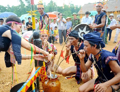 La grande famille des ethnies vietnamiennes - ảnh 2