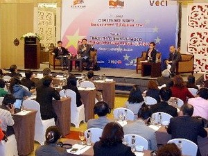 Relations commerciales Vietnam-Union Européenne : défis en 2013 - ảnh 1