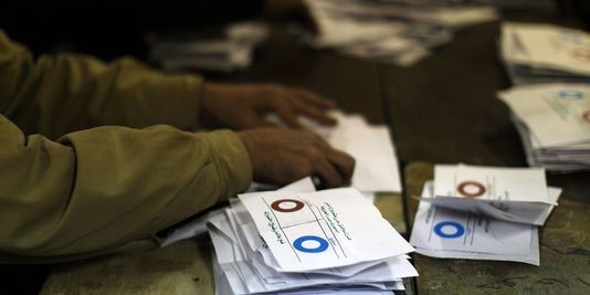 Egypte : les Frères musulmans annoncent l'adoption de la Constitution - ảnh 1