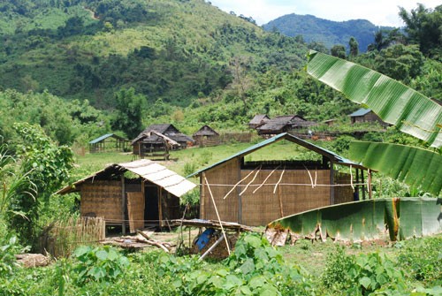 Pour la protection des forêts du Truong Son - ảnh 2