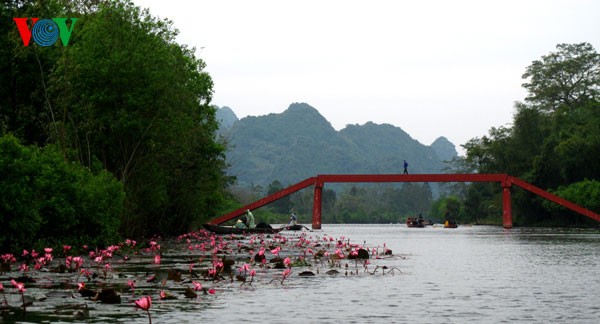 La beauté exceptionnelle du ruisseau d'Hirondelle - ảnh 3