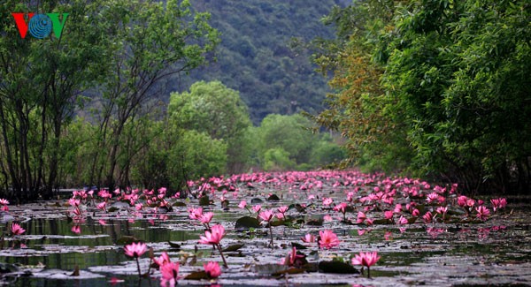 La beauté exceptionnelle du ruisseau d'Hirondelle - ảnh 6