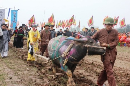 Les fêtes printanières battent leur plein - ảnh 2