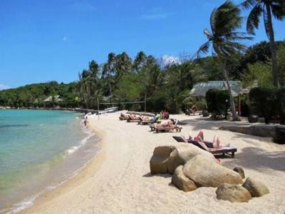 Ile de la baleine, paradis sur terre à Nha Trang - ảnh 2