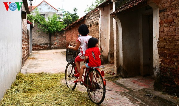 Duong Lam en moisson - ảnh 16