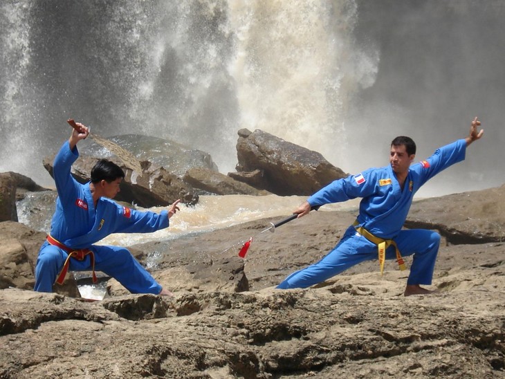 Le Vovinam - grande fierté des Vietnamiens - ảnh 2