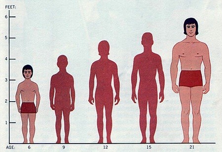 La taille des Vietnamiens - ảnh 1