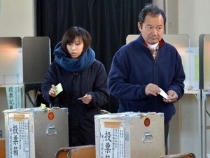 Les Japonais renouvellent leur Sénat - ảnh 1