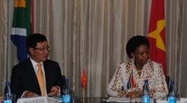 Le ministre des Affaires Etrangères Pham Binh Minh en Afrique du Sud - ảnh 1