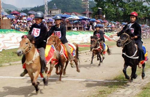 Course hyppique de Bac Hà - ảnh 1