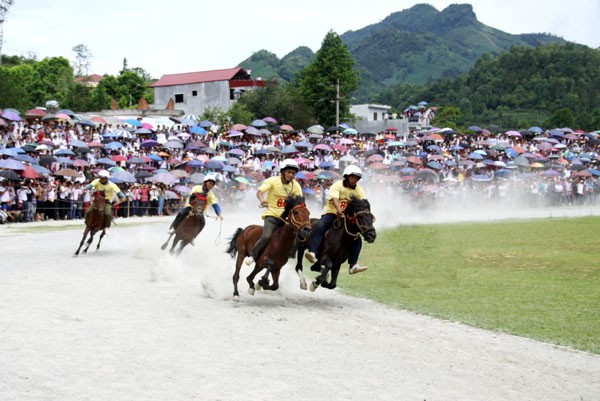 Course hyppique de Bac Hà - ảnh 4