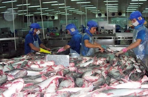 Pangasius du Vietnam: Les Etats Unis imposent des taxes élevées - ảnh 1