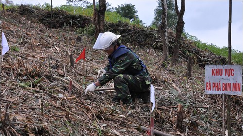 Lancement d’un projet de déminage à Lang Son et Cao Bang  - ảnh 1