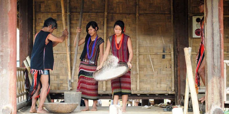 Promouvoir les valeurs culturelles du Tay Nguyen - ảnh 1