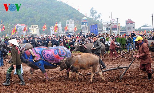 Nguyen Thi Doan à la fête des labours à Doi Son - ảnh 1