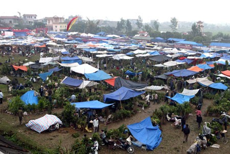 Le Vieng, marché de la sollicitation du bonheur - ảnh 1