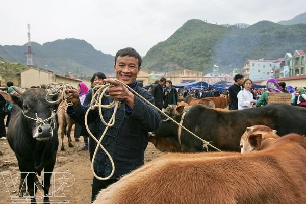 Le marché aux animaux de Meo Vac - ảnh 5