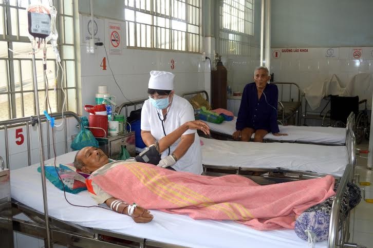 Activités en l’honneur de la journée des médecins vietnamiens  - ảnh 2