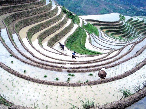 Les Mông, des architectes de la nature - ảnh 4