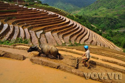 Les Mông, des architectes de la nature - ảnh 3