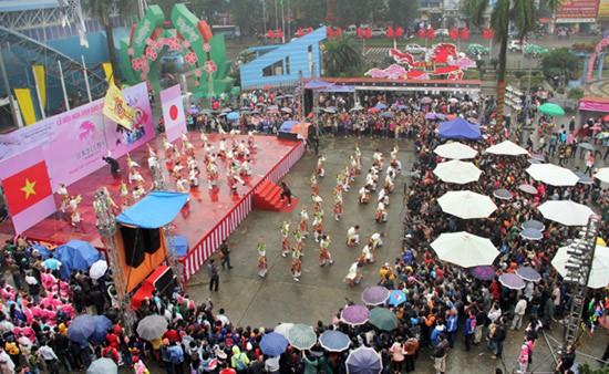 Ouverture de la fête des fleurs de cerisier à Hanoï - ảnh 1