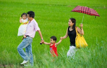 Recueil d’avis pour le projet d’amendement de la loi sur le mariage et la famille - ảnh 1