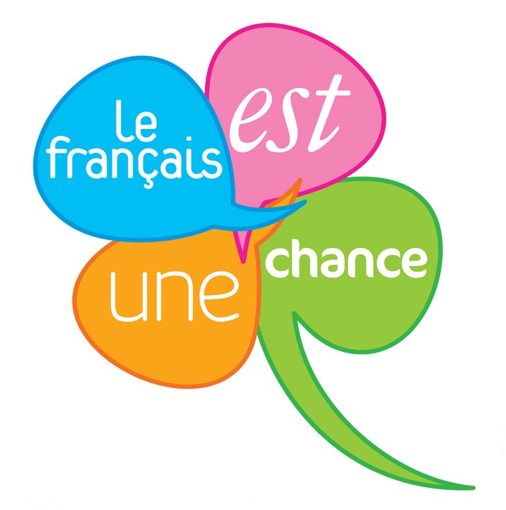 Le Vietnam a été, est et sera un membre actif et responsable de la Francophonie - ảnh 3