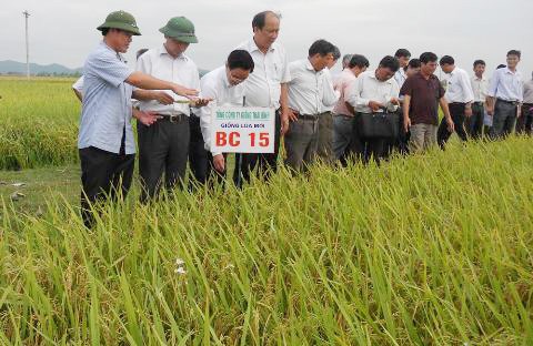 Nghê An : la compagnie générale des intrants agricoles s’implique - ảnh 2