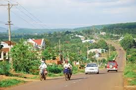 L’instauration de la nouvelle ruralité par un ancien combattant - ảnh 1