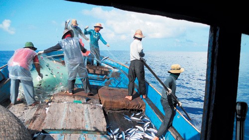 La CGTV appuie la pêche hauturière - ảnh 2