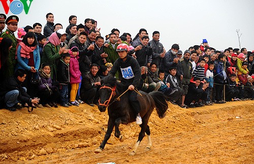 Les courses hippiques des Mong - ảnh 1