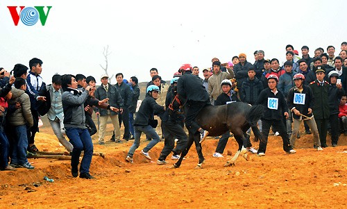 Les courses hippiques des Mong - ảnh 2