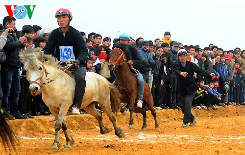 Les courses hippiques des Mong - ảnh 3