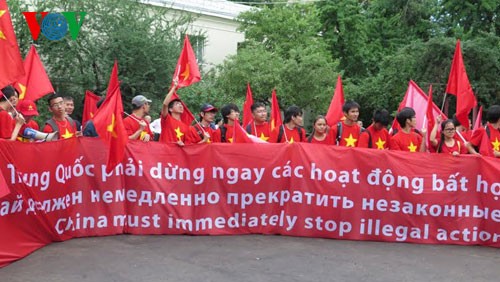 Les Vietnamiens en Russie protestent contre les agissements de la Chine - ảnh 2