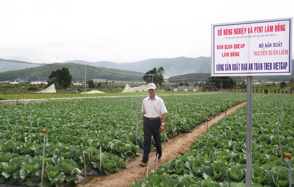 Đơn Dương: rattraper le train du progrès - ảnh 1